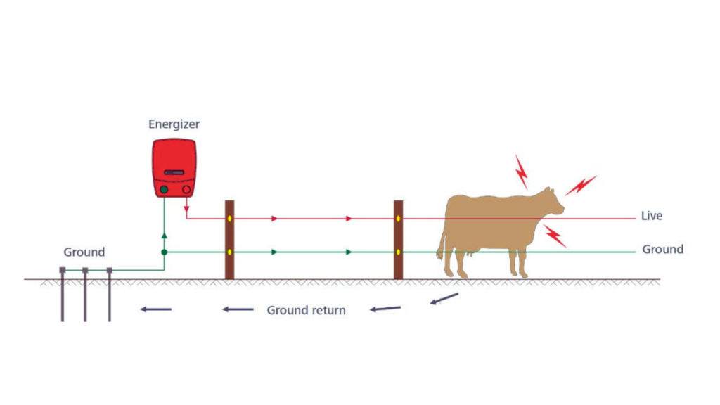 Install the Grounding System