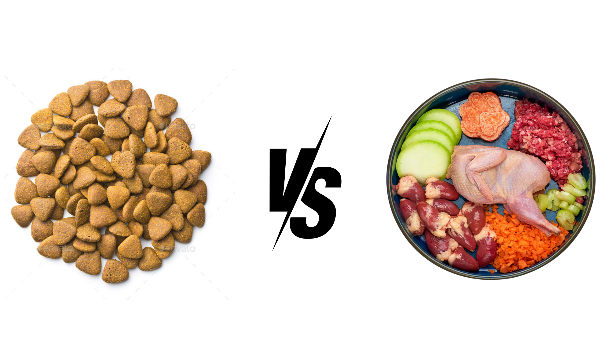 Kibble vs Raw Diet for Dogs