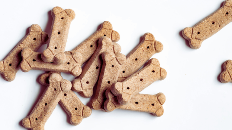 Toxic Dog Treats List