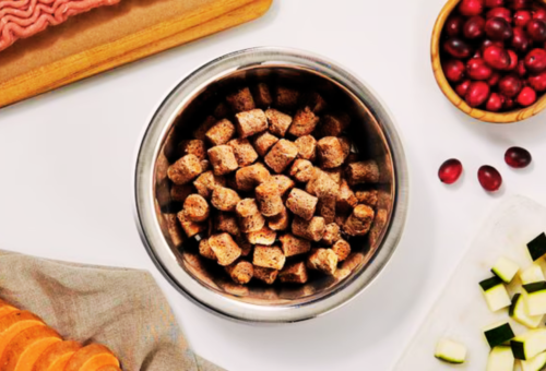 What Is the Best Freeze Dried Dog Food