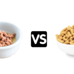 Wet Food or Dry Food for Cats