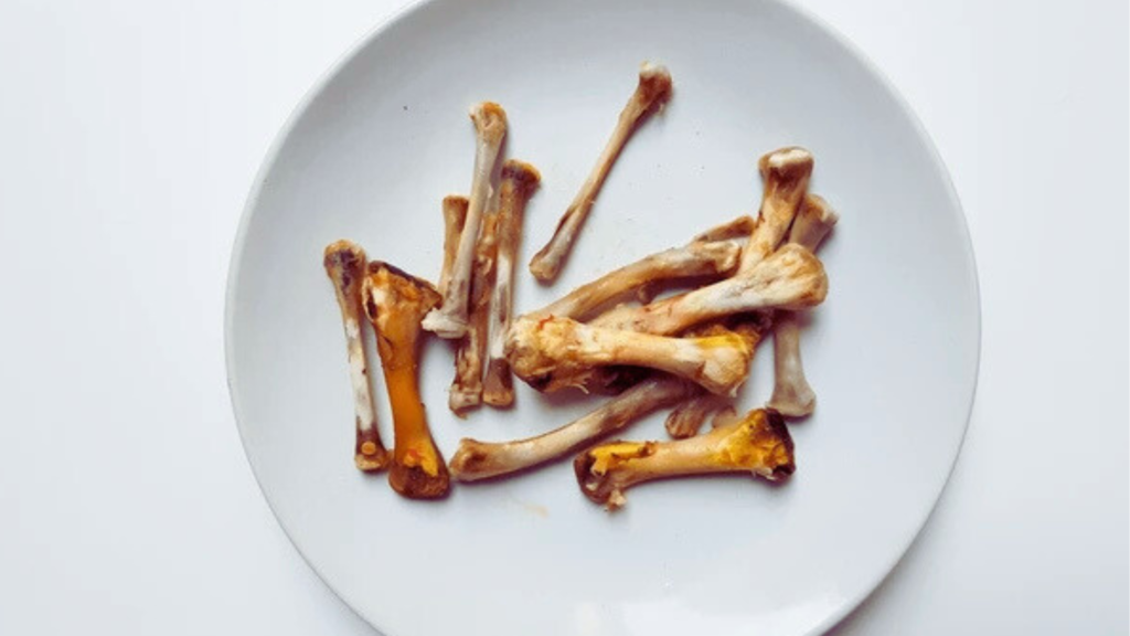 Feeding Cooked Bones Instead of Raw Bones