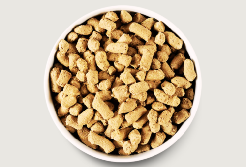 Freeze-Dried Raw Dog Food Pros and Cons