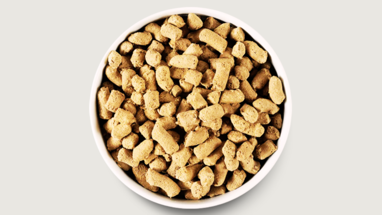 Freeze-Dried Raw Dog Food Pros and Cons