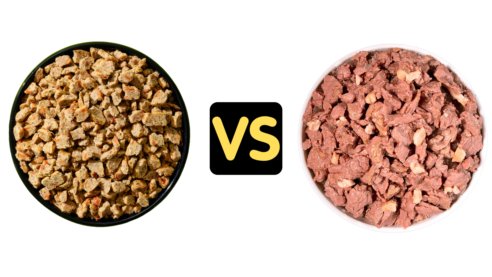 Kibble vs Wet Food for Cats