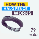 How Does Halo Dog Fence Work