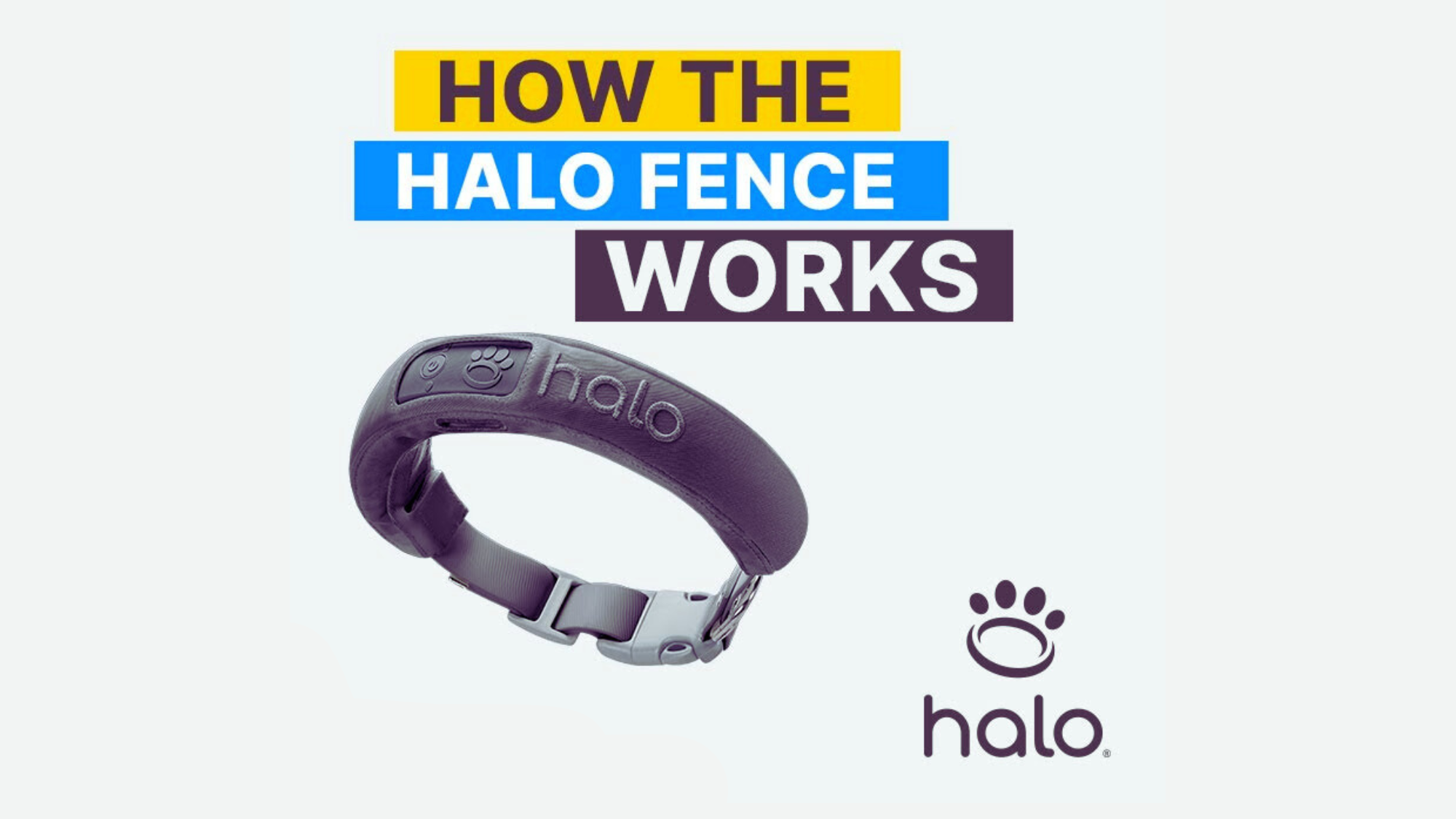 How Does Halo Dog Fence Work