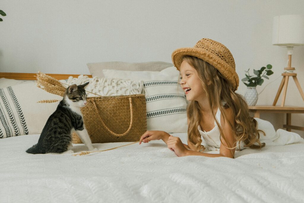 Convenience for Cat Owners