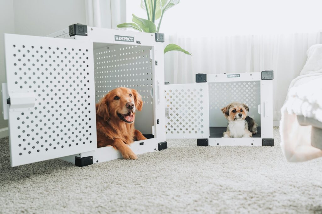 Dog Crate Usage