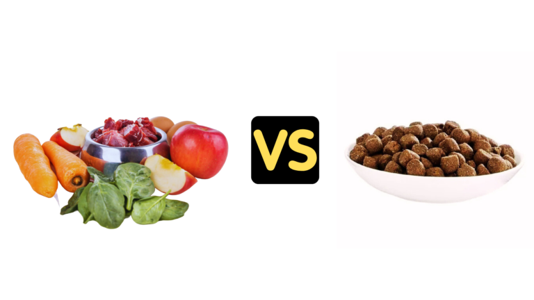 Raw Food vs Kibble Study