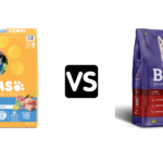 Large Breed Puppy Food vs Adult Dog Food