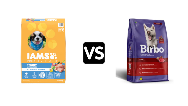 Large Breed Puppy Food vs Adult Dog Food