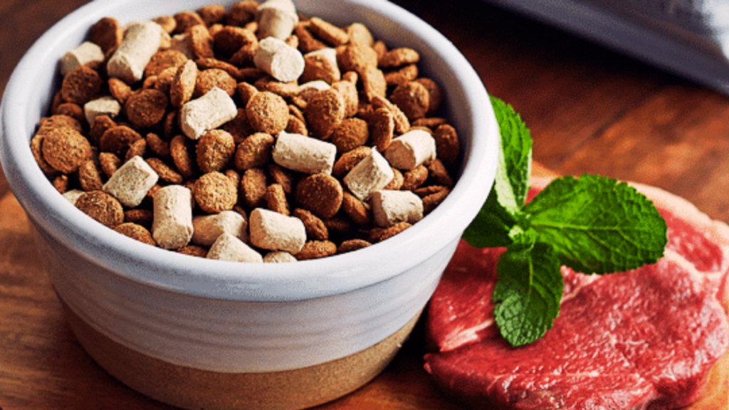 Raw vs. Kibble Diet