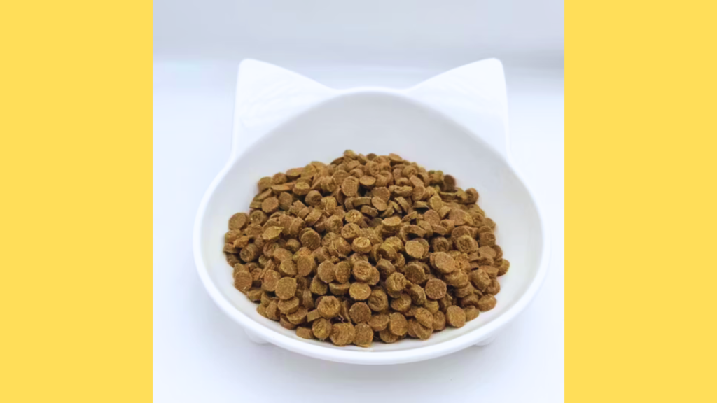 Dry Food: Low Moisture Requires Extra Water Intake