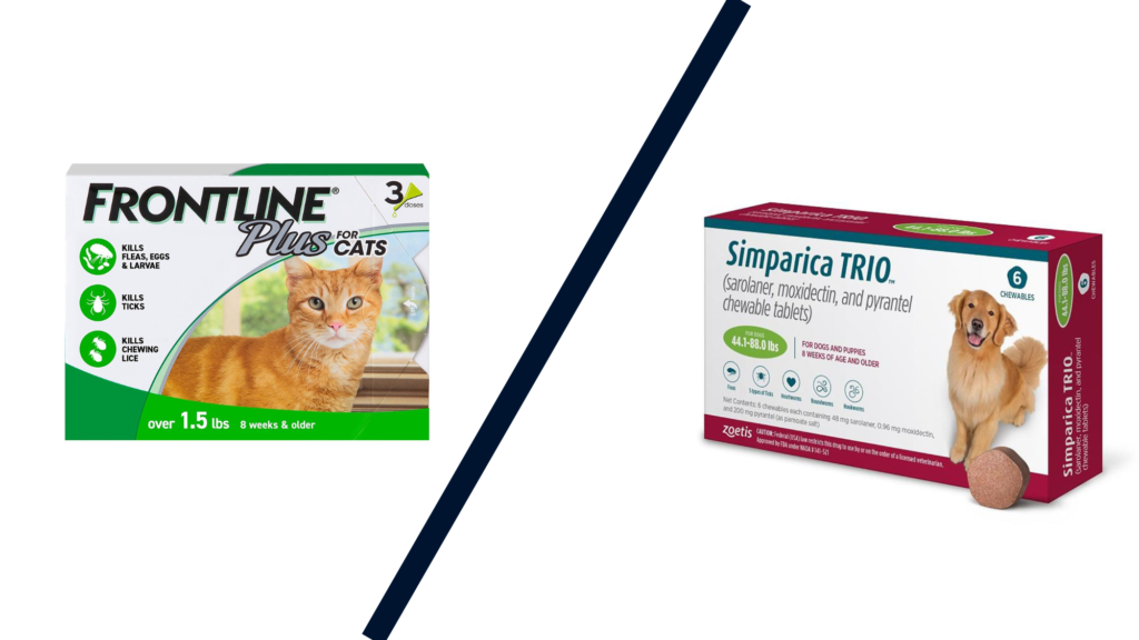 Understanding the Difference: Cat vs. Dog Flea Medications