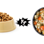 Kibble vs Homemade Dog Food