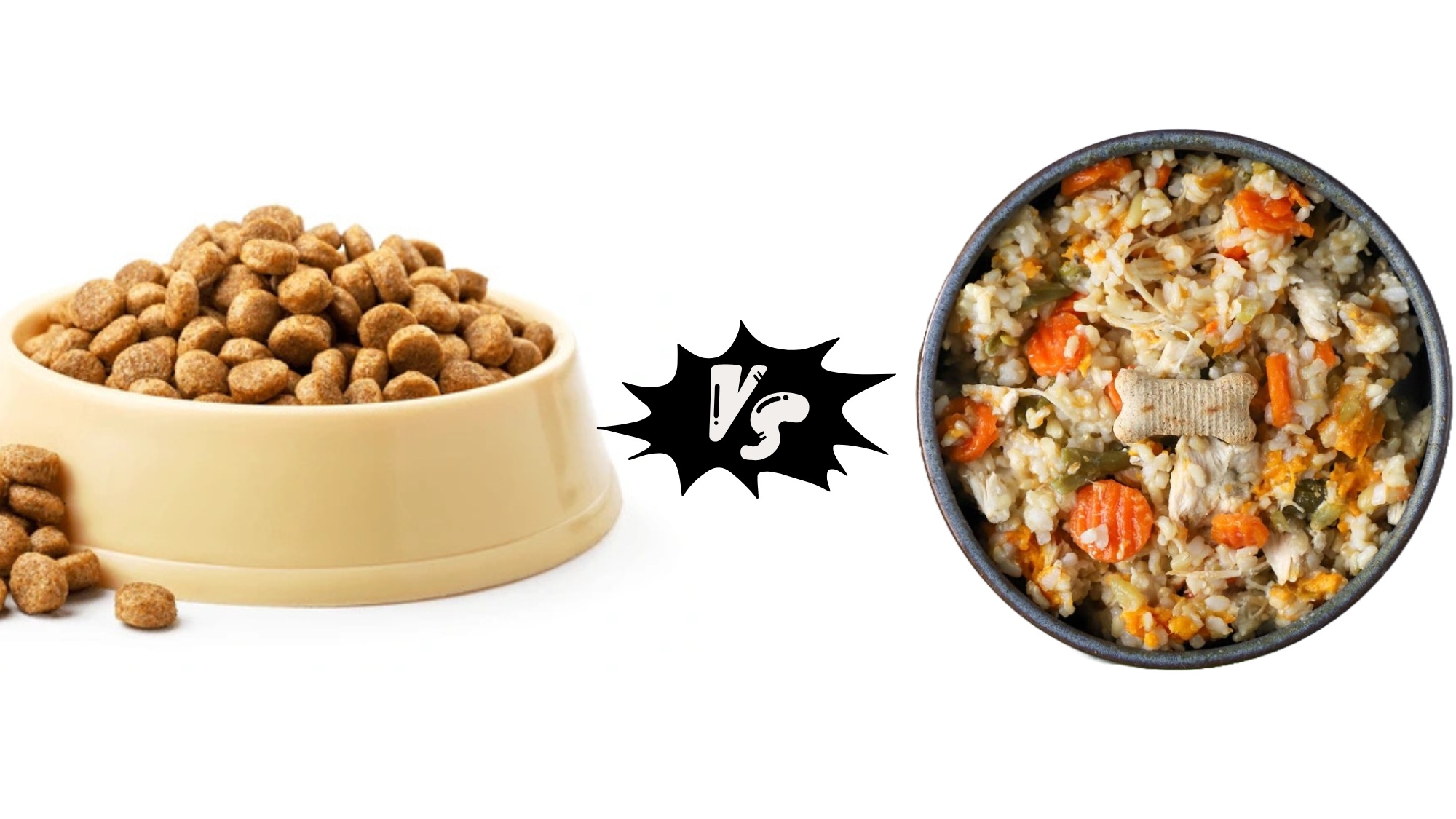 Kibble vs Homemade Dog Food