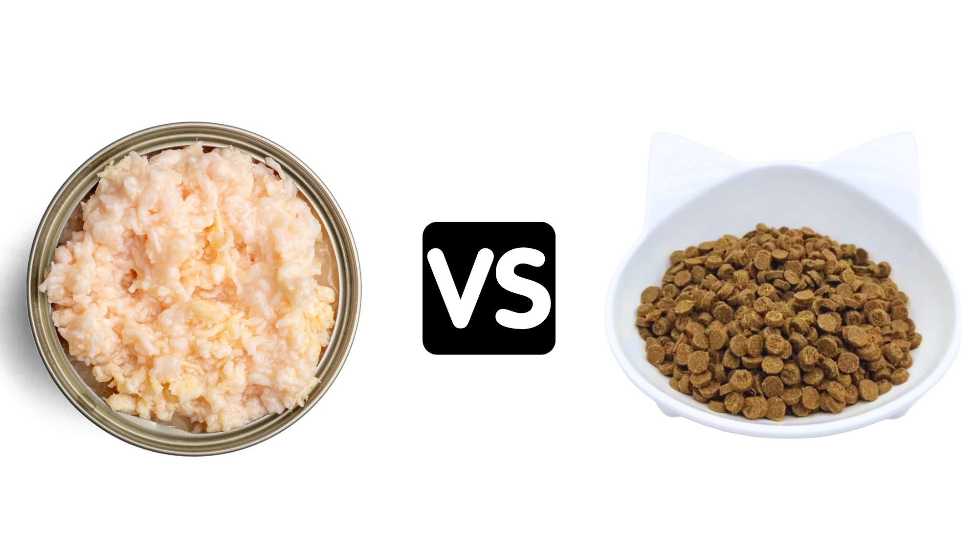 Wet Food vs Dry Food for Kittens