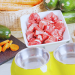 Vet Approved Homemade Dog Food Recipes