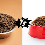 All Life Stages Dog Food vs Puppy Food