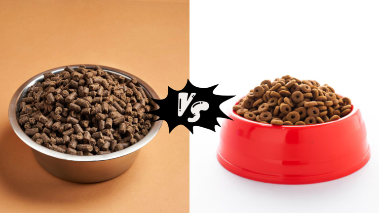 All Life Stages Dog Food vs Puppy Food