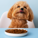 How Much to Feed a Dog by Weight Kg