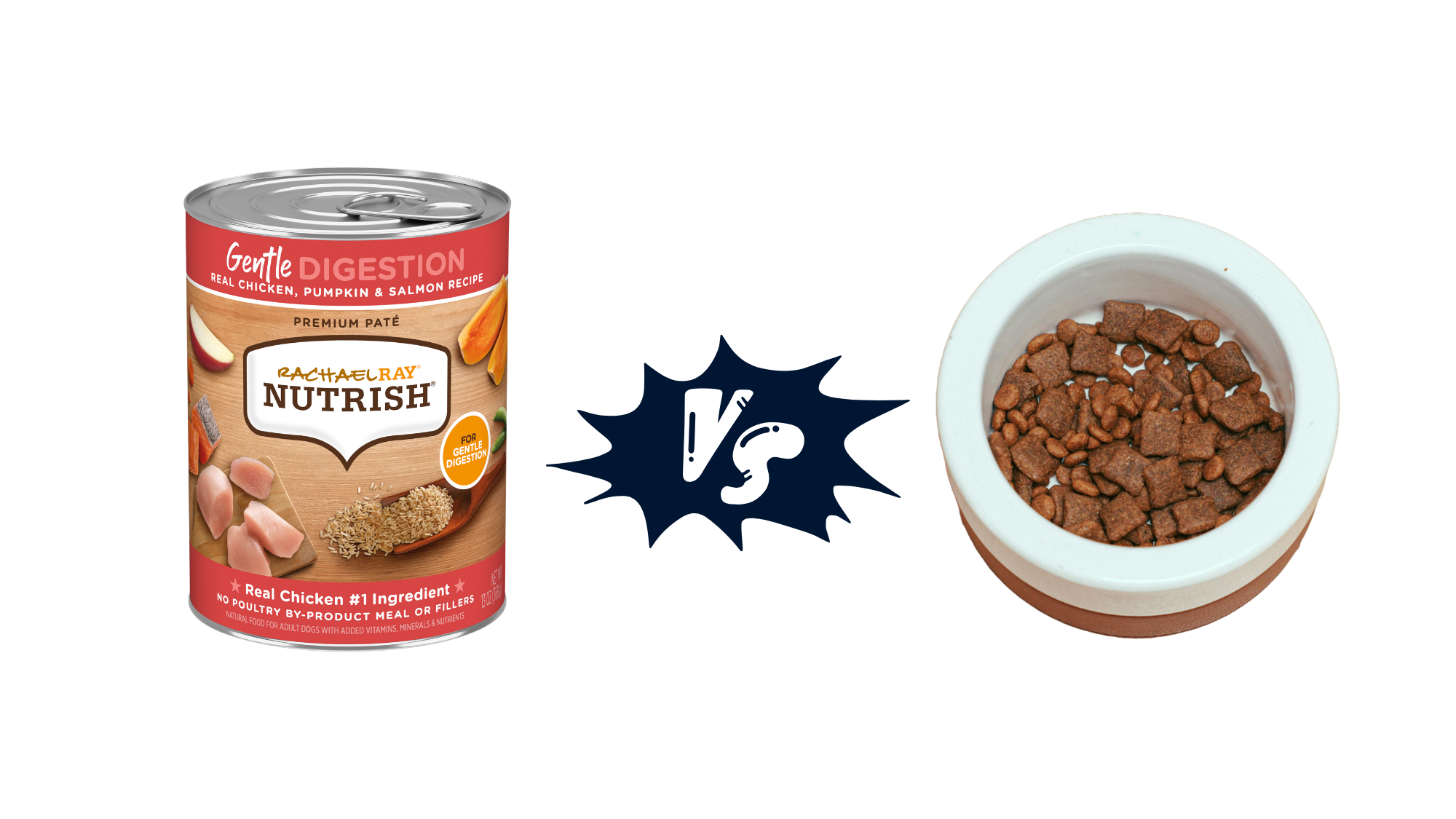 Canned Dog Food vs Dry Dog Food