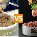 Cooked vs Raw Food for Dogs