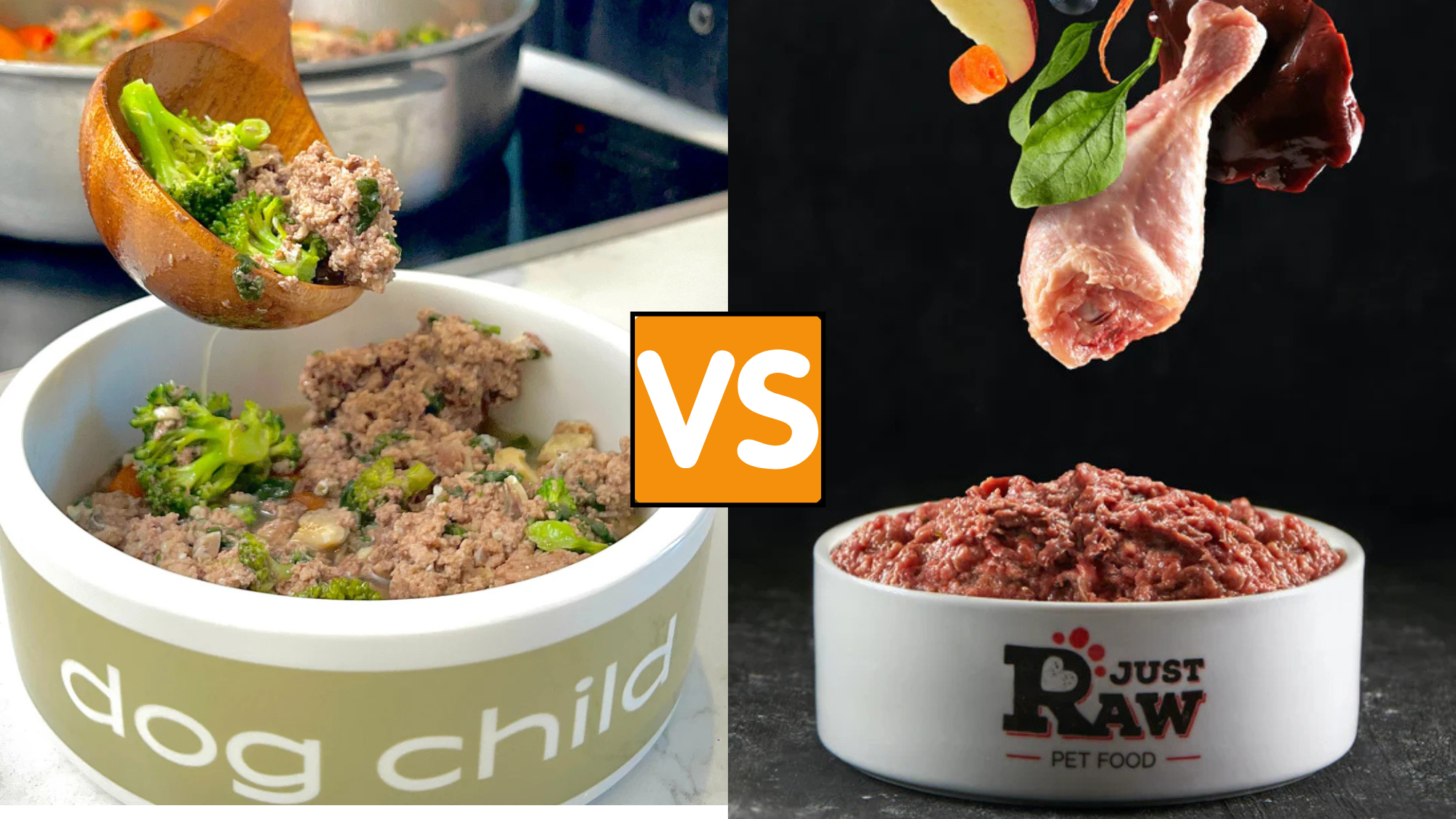 Cooked vs Raw Food for Dogs