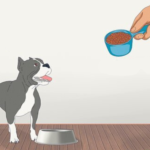 American Bully Food Chart