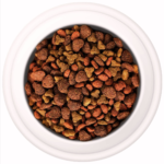 Can Dogs Eat Dry Cat Food in an Emergency
