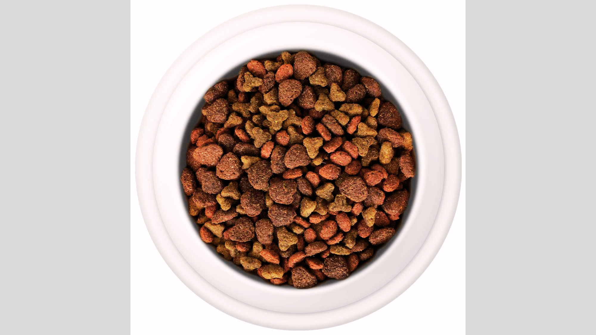 Can Dogs Eat Dry Cat Food in an Emergency