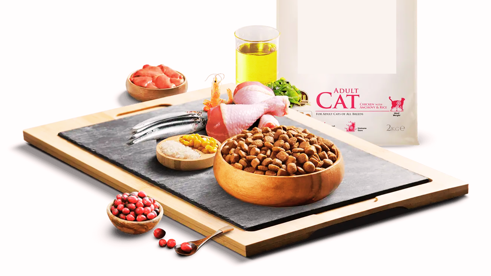Can Dogs Eat Cat Food for One Day