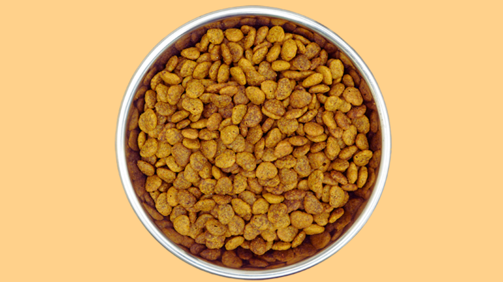 Personal Experience: One Day on Cat Food