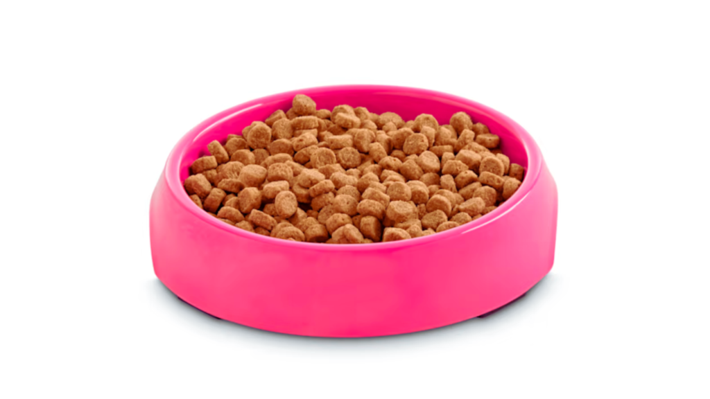 How to Manage a One-Day Switch to Cat Food