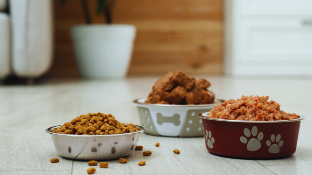 Understanding the Variety in Dog Food