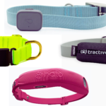 GPS Dog Collars