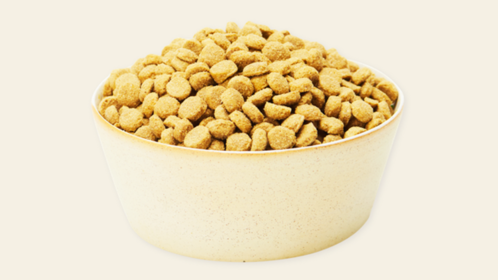 Transitioning from Puppy Food to Dog Food