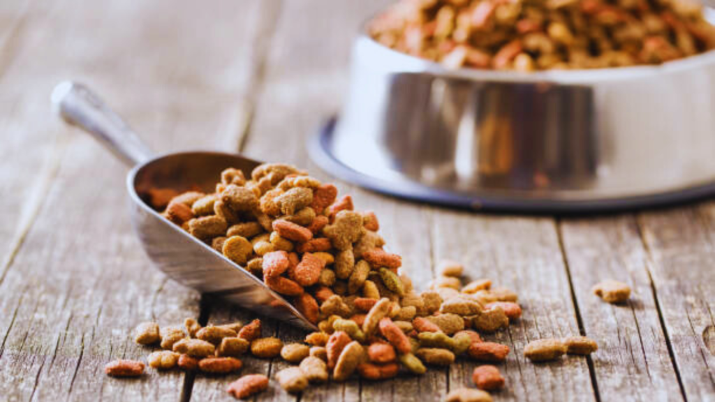 Dry Kibble