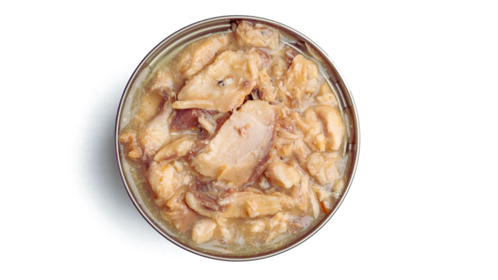 When Might Wet Cat Food Be an Acceptable Substitute