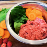 Raw Food Diets May Lead to Better Gut Health in Dogs