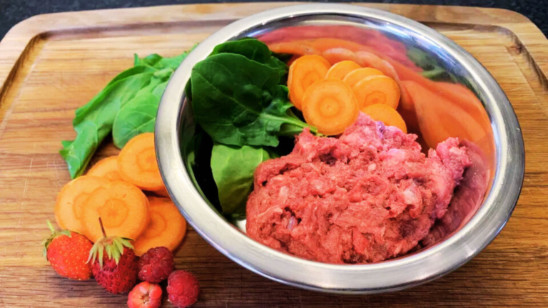 Raw Food Diets May Lead to Better Gut Health in Dogs