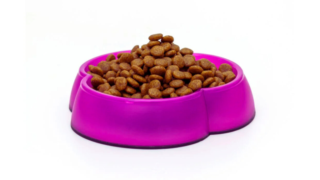 My Dog Ate Cat Food and Is Now Sick: A Shocking Discovery