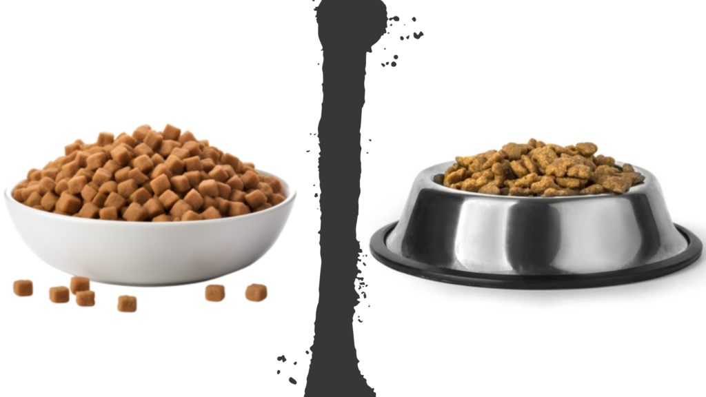 Why Cat Food and Dog Food Are Not the Same