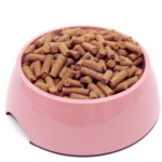 Is Cat Food Bad for Dogs Kidneys