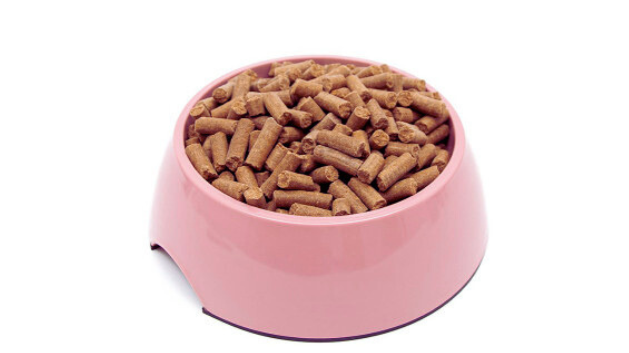 Is Cat Food Bad for Dogs Kidneys