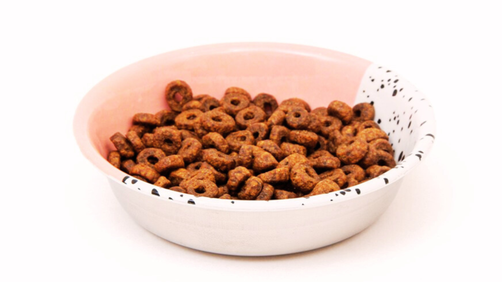 Is Cat Food Bad for Dogs Kidneys