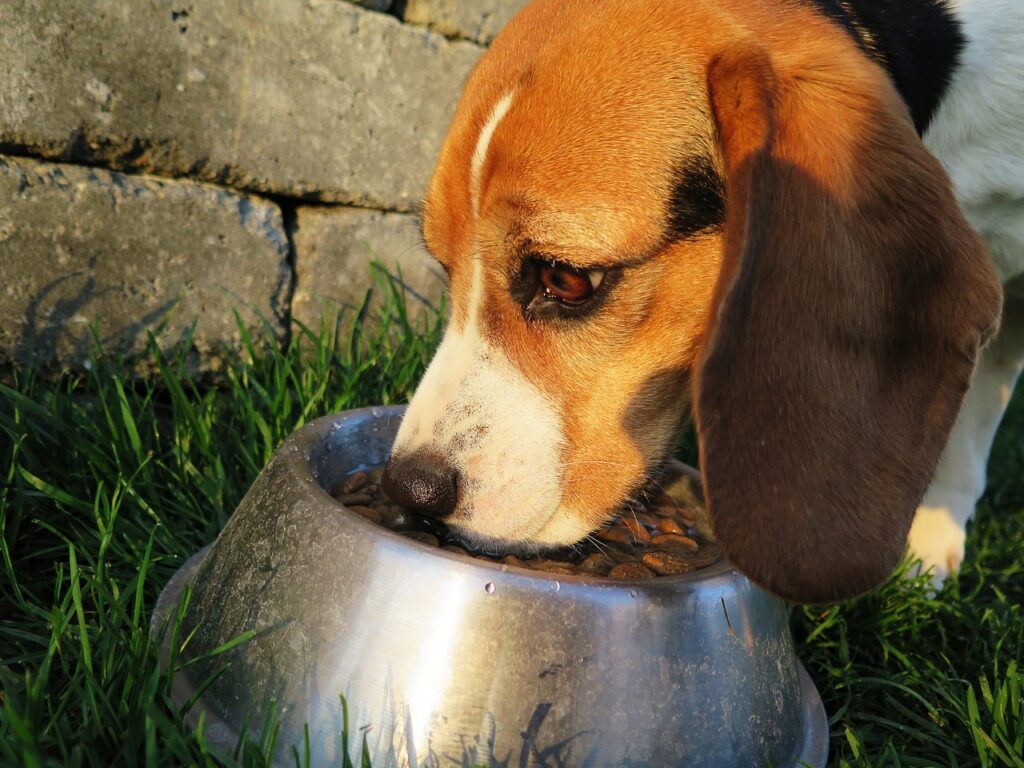 Temporary Emergency Feeding