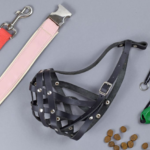 The Complete Dog Training Equipment List: Collars, Leashes, Harnesses & More