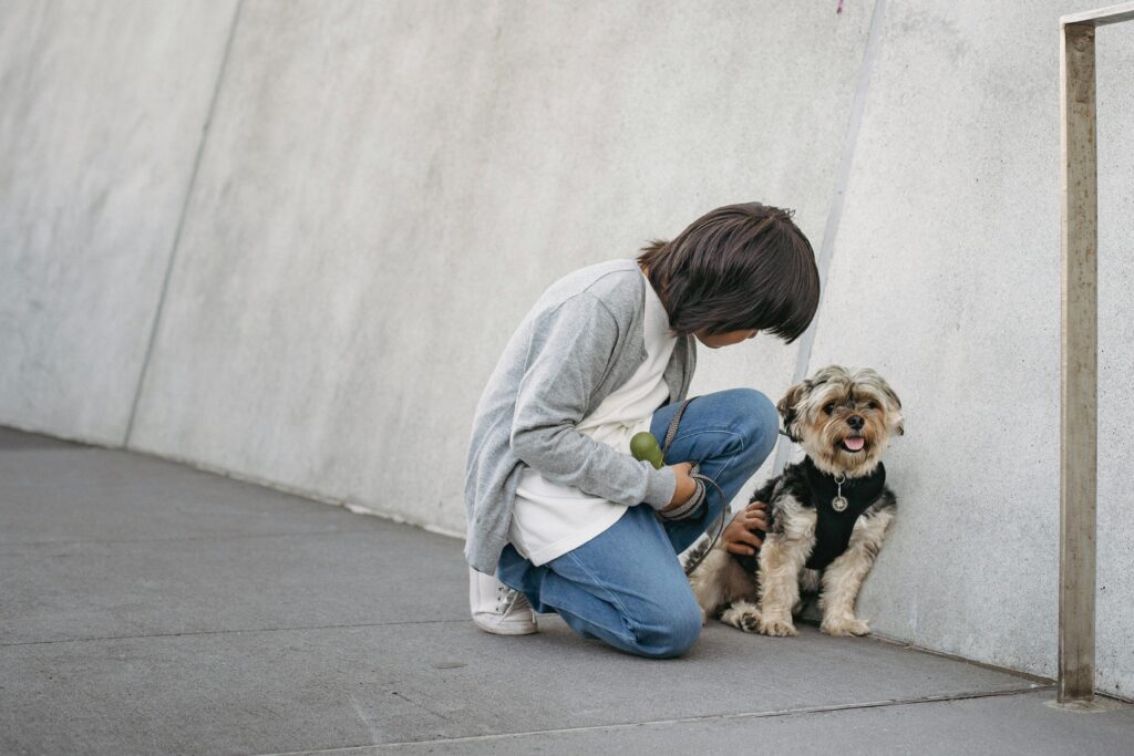 Practical Advice for Pet Owners